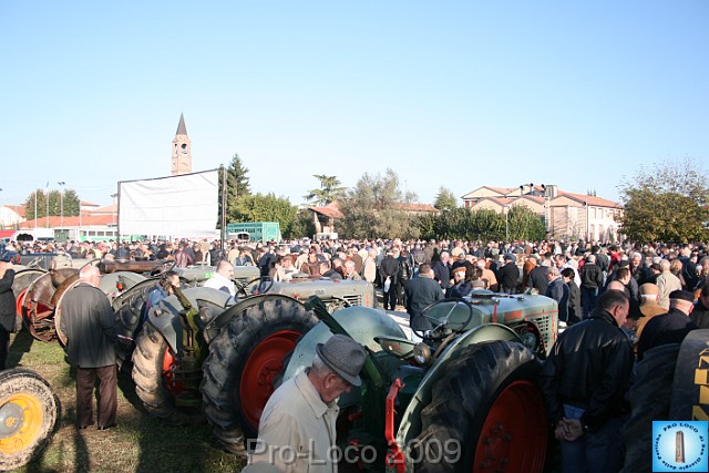 In prà della Antica Fiera di Arsego (28).JPG